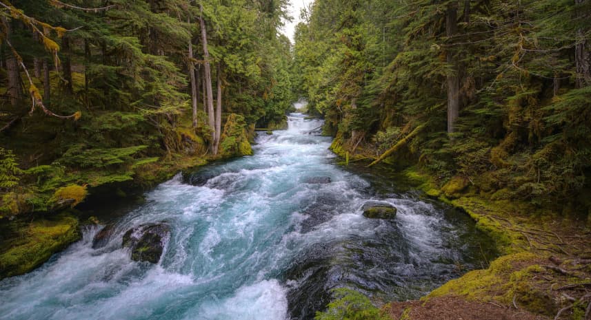 River in NZ